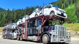 How Much Is It To Ship To Canada