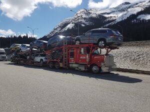 how much does it cost to get a car imported