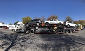 international car shipping companies in new jersey