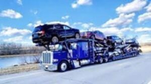 Car International Shipping Companies